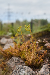 Similar image 21999135