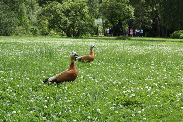 Similar image 21999138