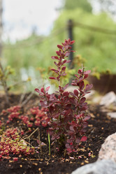 Similar image 21999141