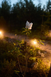 Similar image 21999163