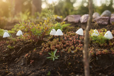 Similar image 21993777