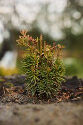 Similar image 21993782