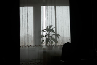 Similar image 21993788