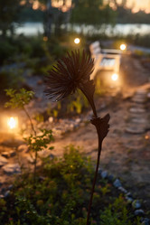 Similar image 21993790