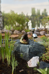 Similar image 21993798