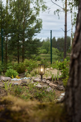 Similar image 21993802