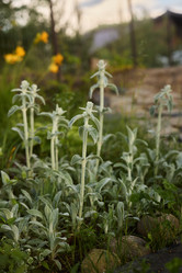 Similar image 21994211