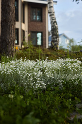 Similar image 21994212