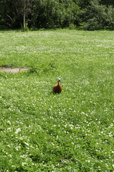 Similar image 21998103