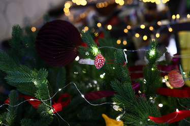 Similar image 21998413