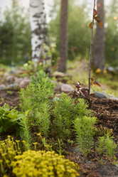 Similar image 21998416