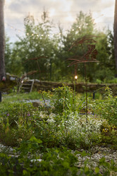 Similar image 21998869