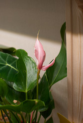 Similar image 21998870