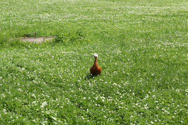 Similar image 21999026