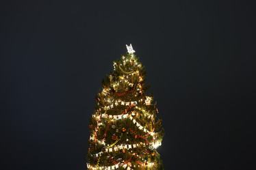 Similar image 21994381