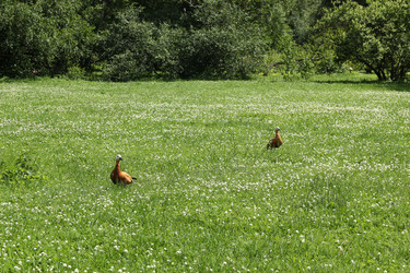 Similar image 21994386