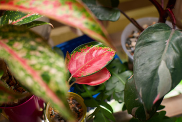 Similar image 21994388