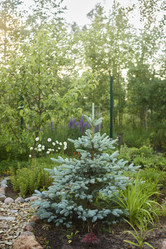 Similar image 21993851