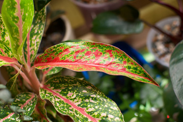 Similar image 21993857