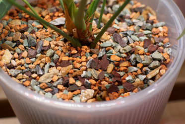 Similar image 21994223