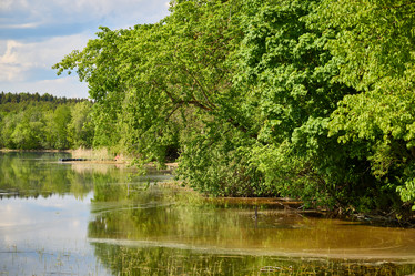 Similar image 21996541