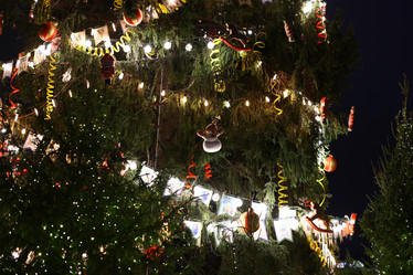 Similar image 21996547