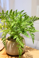 Similar image 21996548