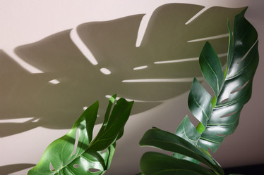 Similar image 21998421