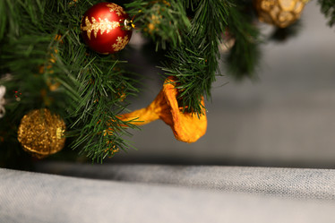 Similar image 21994625