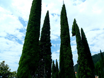 Similar image 21996567