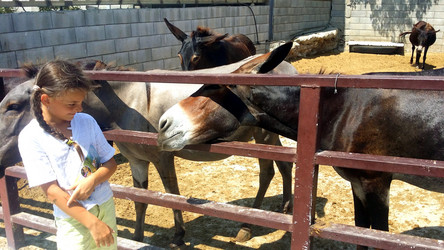 Similar image 21997056