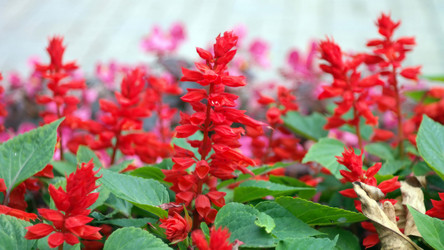 Similar image 22002390