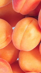 Similar image 22002391