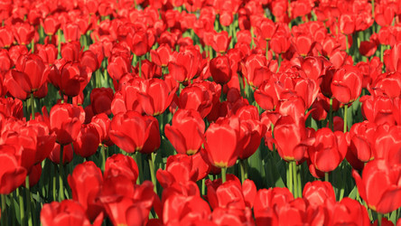 Similar image 22002392