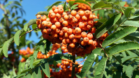 Similar image 22002393