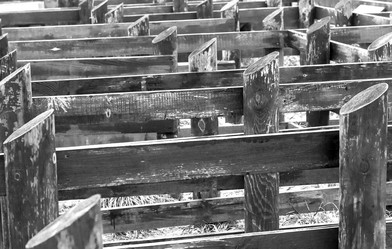 Similar image 21991871