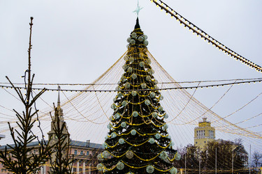 Similar image 22011820