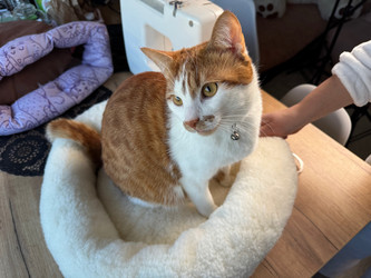 Similar image 21996208