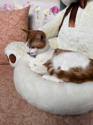 Similar image 21996209