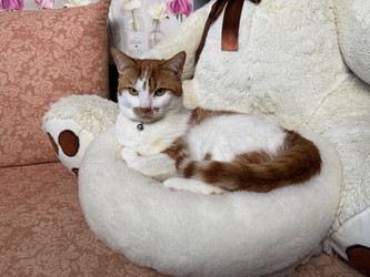 Similar image 21996211