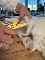 Similar image 21996222