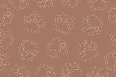 Similar image 22015154