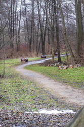 Similar image 21992138