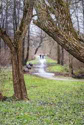 Similar image 21992139