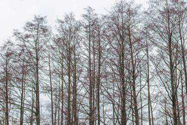 Similar image 21992145