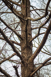 Similar image 21992148