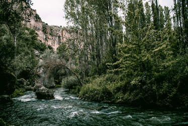 Similar image 21993155