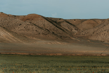 Similar image 21993180