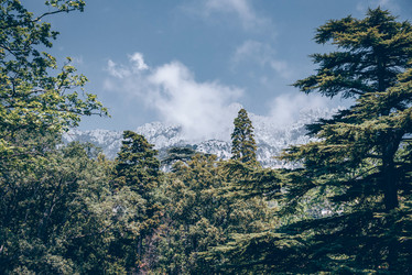 Similar image 21993184