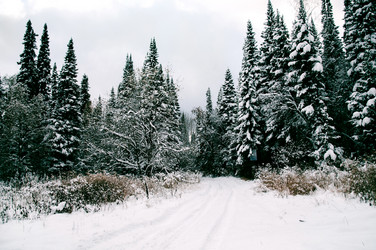 Similar image 21993189